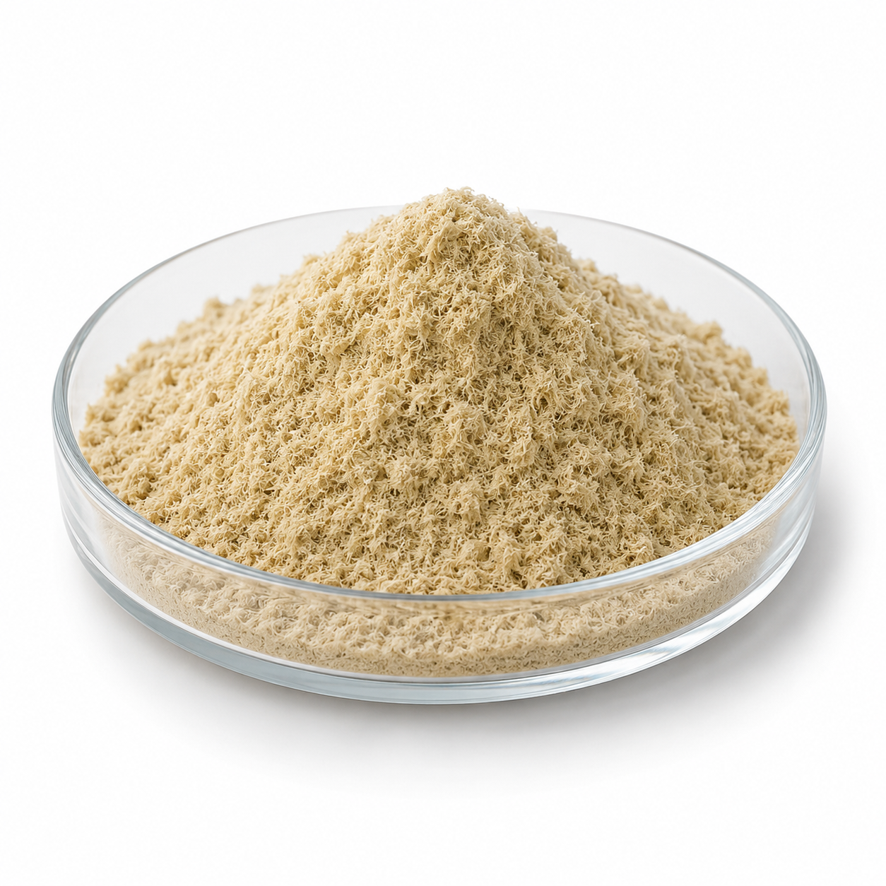 Organic Lion’s Mane
